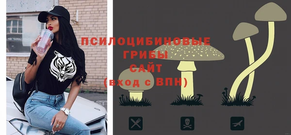 ГАЛЛЮЦИНОГЕННЫЕ ГРИБЫ Пестово