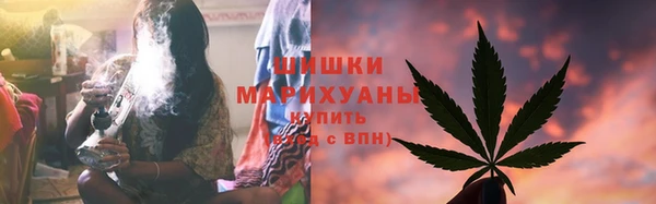 ГАЛЛЮЦИНОГЕННЫЕ ГРИБЫ Пестово