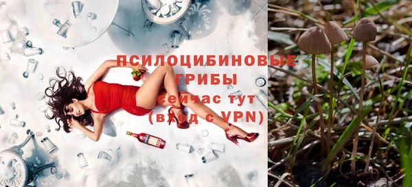 ГАЛЛЮЦИНОГЕННЫЕ ГРИБЫ Пестово
